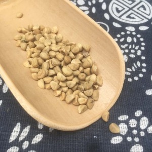 ขายส่งสมุนไพรจีน ไบเฉียนหนิวจื่อ ดอกบานรุ่งขาว มีสินค้าหลากหลาย - Product Image 4