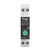Disjoncteur Intelligent TONGOU API TUYA Zigbee 1P 63A Rail DIN 35mm Mini Appareils de Contrôle à Distance Sans Fil pour Maison Intelligente