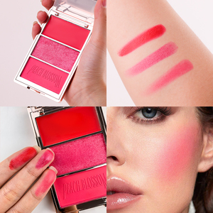 איפור החדש מסמיק רב תפקודי פיגמנטציה סומק מדגיש מתאר איפור לוח צבעים פרטי תווית - Product Image 5