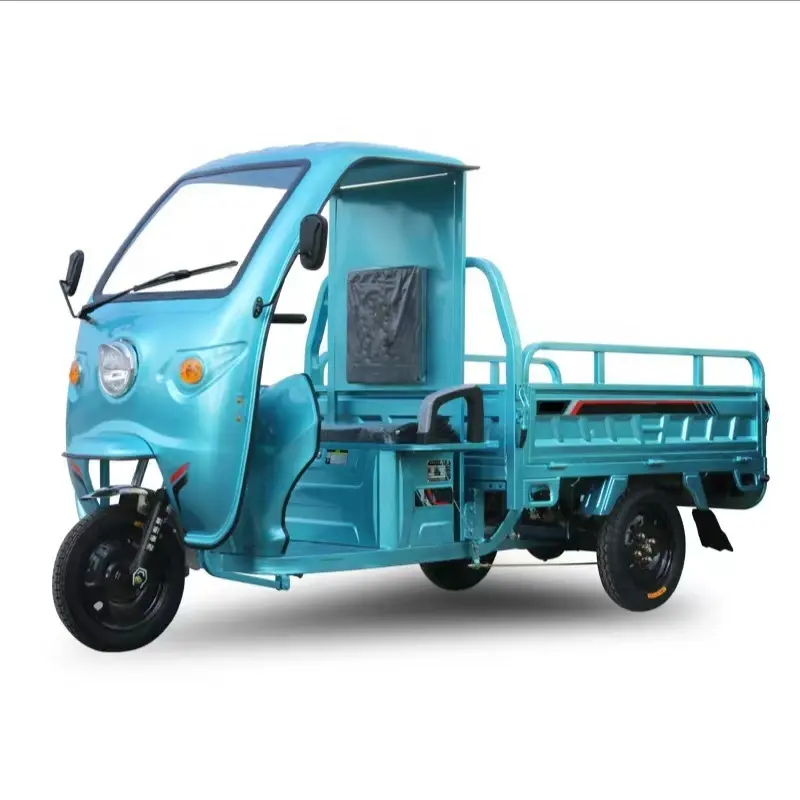 China Electric Adult Tricycle electric three wheeler cargo 1000W electric trike scooter Cargo bike