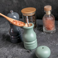 Moulin à poivre manuel compact et élégant ensemble de moulins à sel et à poivre en céramique de couleur macaron en bois pour un usage domestique