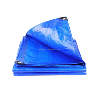 Bâche d'événement imperméable en PE pour abri temporaire, protection du sol, exposition, festival et événements en plein air