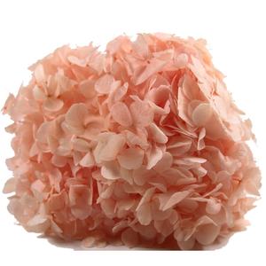 Vente en gros de fleurs et de plantes conservées à grands pétales real touch <span class=keywords><strong>anna</strong></span> hortensia à grandes feuilles - Product Image 3