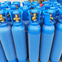 Matrice de poinçonnage personnalisée portable pour cylindre d'extincteur vide ABC à poudre chimique sèche (DCP) à vendre 1KG 2KG 4KG 6KG 9KG 12KG