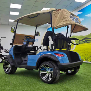 Carrito de Golf Eléctrico Personalizable de 2 Plazas con GPS, Batería de 48V, Certificado Dot Ce, Disponible para la Venta - Product Image 2