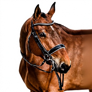 Hot Selling Adjustable Leather Horse Bridle Horse Bridle for Horse Riding <b>Equestrian</b> From Indian Manufacturer of Leather Bridle - Product Image 1