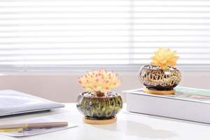 Macetas Pequeñas de Cerámica Esmaltada para Suculentas, Decoración Minimalista Única para Jardín Interior/Exterior con Orificio de Drenaje para Cactus y Flores - Product Image 5