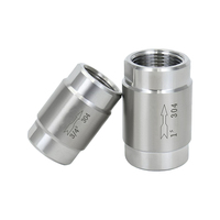 Valvola di ritegno a molla verticale in acciaio inox 304 per linea di alimentazione GPL con chiusura automatica, OEM, all'ingrosso, per uso industriale