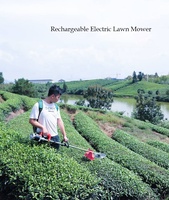 Débroussailleuse à dos électrique professionnelle en acier inoxydable, tondeuse à gazon OEM, prix compétitif Chine