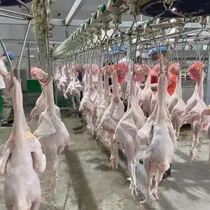 1.000 b/std. verarbeitungslinie zur flecht-, hühnerschlachtung maschinen ausrüstung hühnerschlachthaus
