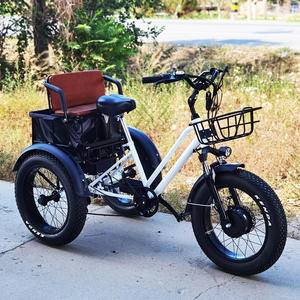 Nouveau modèle de tricycle électrique à pneus larges 48V 500W, tricycle tout-terrain pour le transport de marchandises et de passagers, vélo à trois roues pour adultes âgés avec pédales - Product Image 3