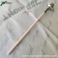 Sonde thermocouple en platine-rhodium de type S/B/R, petite, avec fil interne de 0,5 mm, résistante aux hautes températures jusqu'à 1800 degrés.