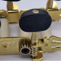 China Supplier Instruments Accessories Parts 2PCS Acoustic Guitar String Tuning Pegs