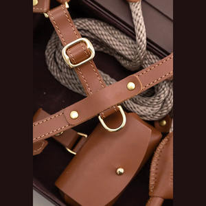 Arnés de Perro de Cuero Suave de Alta Calidad con Ajuste de 6 Puntos, Tamaño Pequeño, Herrajes de Latón Fundido de Primera Clase, Collar de Nailon y Correa - Product Image 5