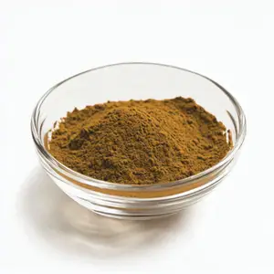 New Listing Nature Factory Price Organic Tamarind Extract Seedless Kernel Tamarind Seed Powder