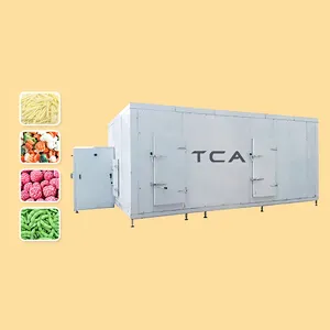 TCA hochwertige automatische fluid isierte Fast Bed Freon Tunnel Gefrier schrank Hersteller Maschinen linie für Gemüse Mango