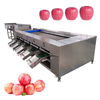Gemotoriseerde Fruitgroente-Ui-Aardappelsorteermachine