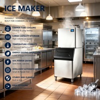 Machine à glaçons commerciale haut de gamme à commande intelligente, conception compacte pour les salons de thé, hôtels et bars