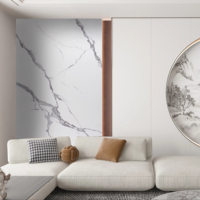 Panneau mural en PVC, feuille de marbre, durable, léger et facile à installer pour l'intérieur