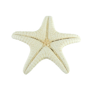 5-8 cm Naturale Mediterraneo Sea Stars Carino Mini Stelle Marine Decorazione del Mestiere di DIY Conchiglie Sulla Spiaggia Cottage Bambini Arredamento Camera Da Letto ornamenti - Product Image 6