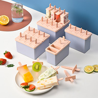Moules de congélation en silicone réutilisables de haute qualité de qualité alimentaire sans BPA Popsicle Ice Cream Makers avec des bâtons en bois pour les enfants