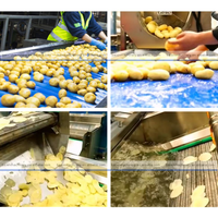 Machine de fabrication de chips de pommes de terre Pringles entièrement automatique Ligne de production de frites surgelées en usine