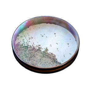 SUCESSO 22-Inch Quartz Beach Simulado Wave Sound Crystal Singing <span class=keywords><strong>Bowl</strong></span> com 99,99% Pure Crystal e Free Case - Product Image 6