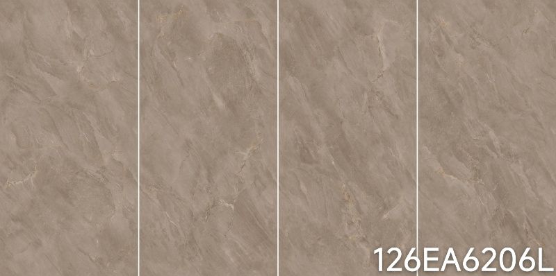 126EA6206L   126EA6206L   126EA6206L