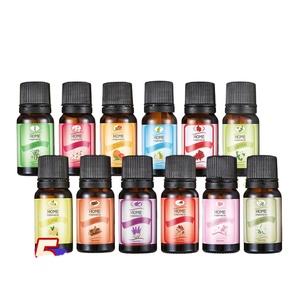 Diffuseur d'arômes, huiles essentielles, pierres parfumées hydrosolubles, parfums purs à base de plantes, lavande, romarin, rose - Product Image 1