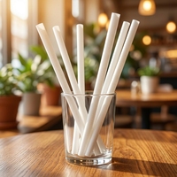 FOREVERIE Pailles à boire jetables petites et flexibles, lot économique de 500 pièces, diamètre intérieur 6 mm, longueur 21 cm, PLA, assortiment pur