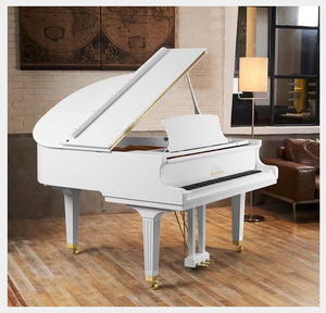<span class=keywords><strong>Pianoforte</strong></span> a Coda Disponibile in Vari Colori e Misure con Tastiera Pesata a 88 Tasti per Esibizioni - Product Image 2