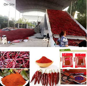 High Capacity Chili Dryer 5tons to 30Tons PD Continuous Pepper Drying <b>Machine</b> - Product Image 6