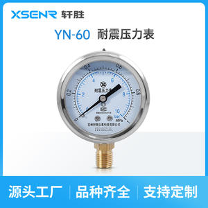 Manómetro Resistente a Impactos Suzhou Xuansheng YN60 de 60 mm, Conexión Roscada de Acero Inoxidable, para Agua, Aire y Aceite - Product Image 5