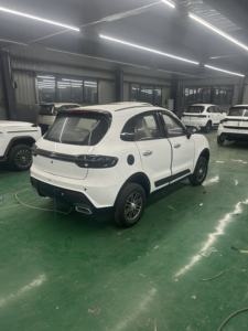 SUV Eléctrico con Tracción en las Cuatro Ruedas, Volante a la Izquierda, Vehículo de Nueva Energía, Motor de 50kW, Autonomía NEDC <100km, Batería de 30kWh, NE 60V/72V - Product Image 4