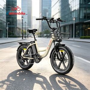 Vélo électrique Pedelec à cadre bas 20 pouces 4.0 fat tire, entrepôt UE livraison 2-7 jours certifié EN15194 vente en gros - Product Image 1