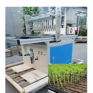 Vegetable Seed Planting Machine / Tray Type Hydroponic Sponge Seeding Planter Machine