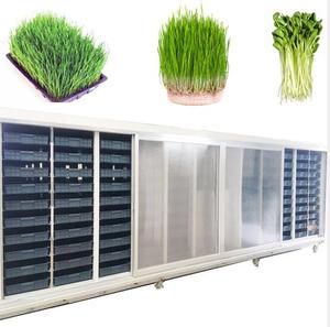 Unidad de Germinación Multifuncional de Alta Capacidad, Máquina para Cultivar Forraje Hidropónico de Cebada y Germinados de Frijol - Product Image 5