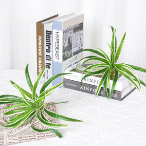 Plante artificielle murale en forme d'araignée, 35 pouces, verte avec bords blancs, fleur en soie plastique, décoration intérieure - Product Image 3