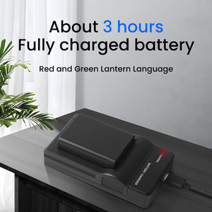 Caricabatterie BP1030 con Cavo DC Tipo-C per Fotocamere Samsung NX200 NX1000 NX210 NX300 NX110 NX500 - Product Image 3