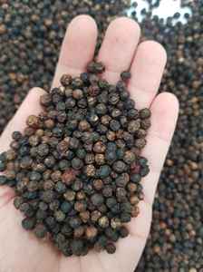 Pimienta negra 550GL ITop Venta de pimienta negra de Vietnam de calidad superior | Pimienta negra entera al por mayor-WA 0084989322607 - Product Image 2