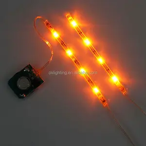 Led Verlichting Strip Batterij Operated 1 Meter Motion Sensor 24 Key Controller Batterij Led Licht Strips