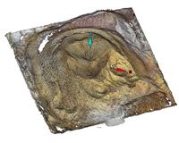 Escáner 3D Lidar GNSS RTK Portátil GEOSUN GS-100G, Escáner 3D de Topografía para Minería, Mapeo RTK GNSS