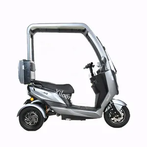 swing left and right 3-wheel electric motorcycle dual motors 800w can ride 3 wheel electric scooter for adult