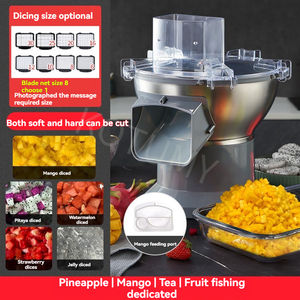 ニンジンスライサー業務用ポテトスライサー電動多機能野菜果物加工プラントスライサー小型さいの目切りスライス機 - Product Image 6