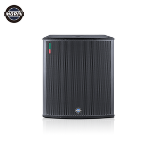 Haut-parleur de subwoofer actif professionnel de 12 pouces de 1200 W de puissance élevée pour les tournées mondiales, les festivals de musique, les gymnases, les salles de sport, les stades - Product Image 3
