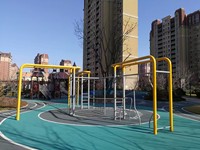 Équipement d'amusement extérieur commercial pour chiens et chats, équipement d'entraînement pour animaux de compagnie pour le plaisir au parc