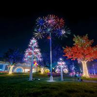 Lumière LED RGB d'extérieur en forme de pissenlit, effet feu d'artifice, télécommande, acier inoxydable, IP65, décoration de jardin pour festivals et Noël