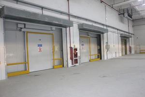 ผักแช่แข็งด้วยข้าวโพดแครอทถั่วตัดถั่วสำหรับ feezer อย่างรวดเร็ว - Product Image 6