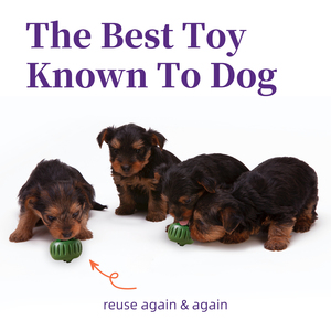 ของเล่นลูกบอลยางสำหรับสุนัข ของเล่นสัตว์เลี้ยงแบบมีปฏิสัมพันธ์ ของเล่นเคี้ยวสำหรับสุนัข - Product Image 6