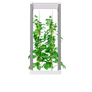 Boîte de jardin intérieur intelligente contrôlée par APP système hydroponique maison cuisine herbe LED culture sans sol pompe d'<span class=keywords><strong>arrosage</strong></span> <span class=keywords><strong>automatique</strong></span> - Product Image 4